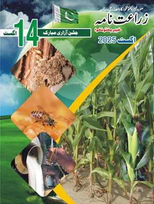 Zarat Nama August 2025